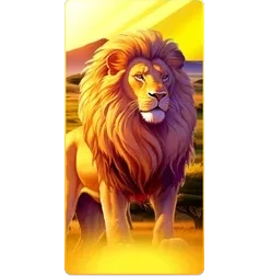 Lion
Safari
